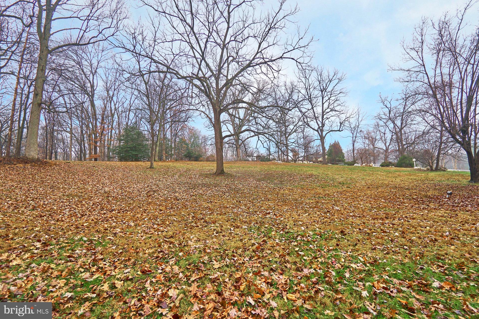 6830 Clifton Road Clifton, VA 20124 - Photo 64 of 90