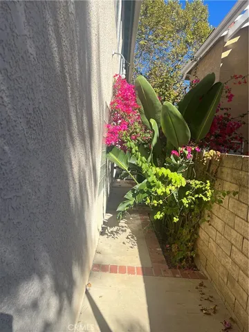 a view of a yard with plants and a bench