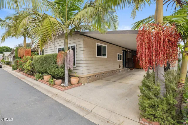 a backyard of a house with potted plants and palm trees
