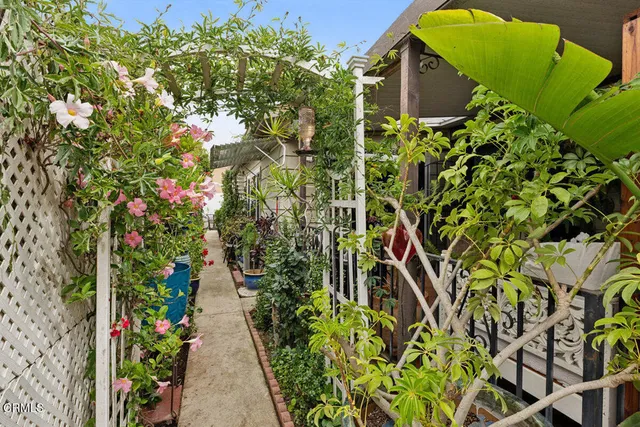 a small yard and a fountain