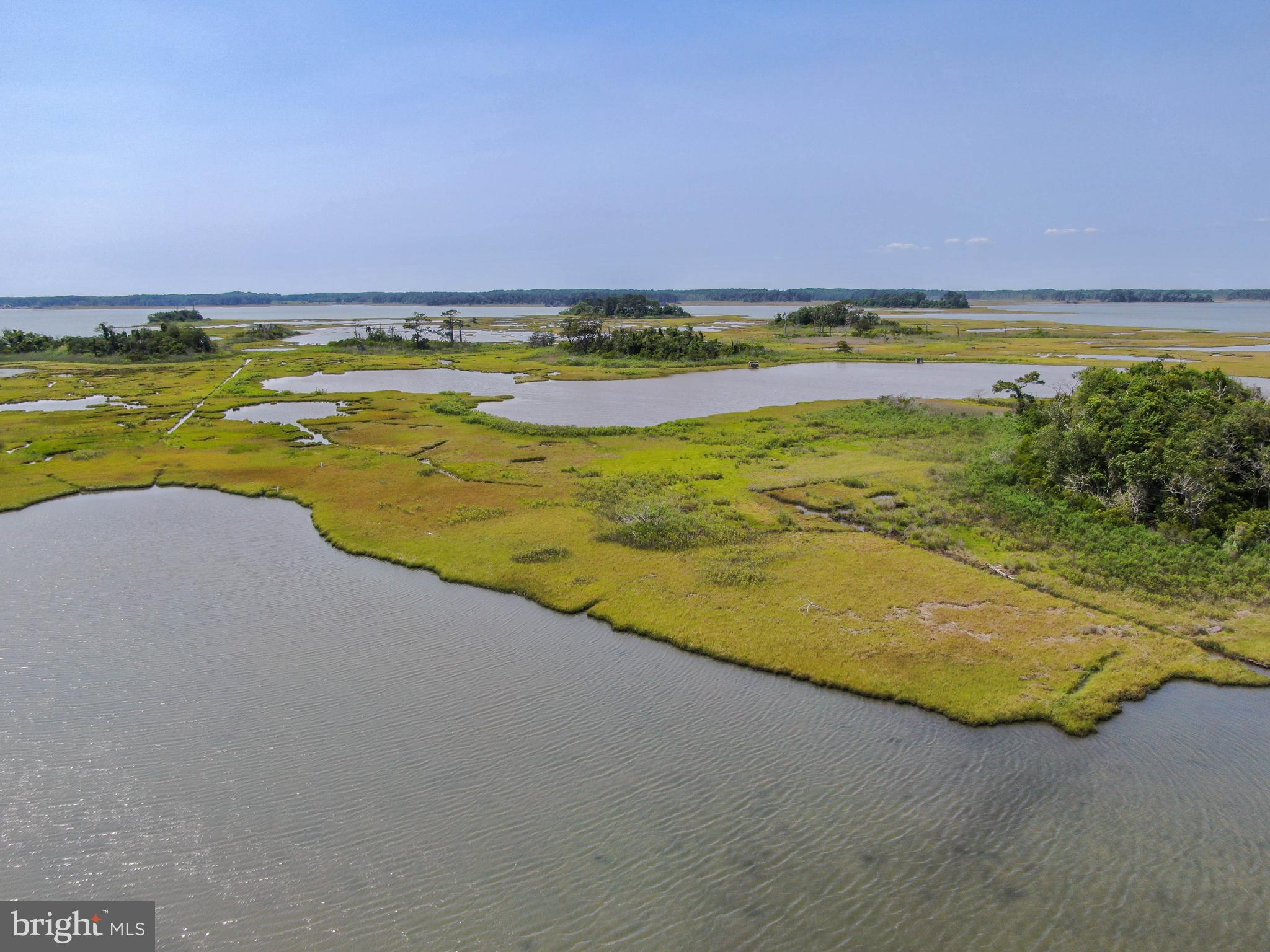 Tizzard Island Taylor Landing Road Girdletree, MD 21829 - Photo 17 of 37