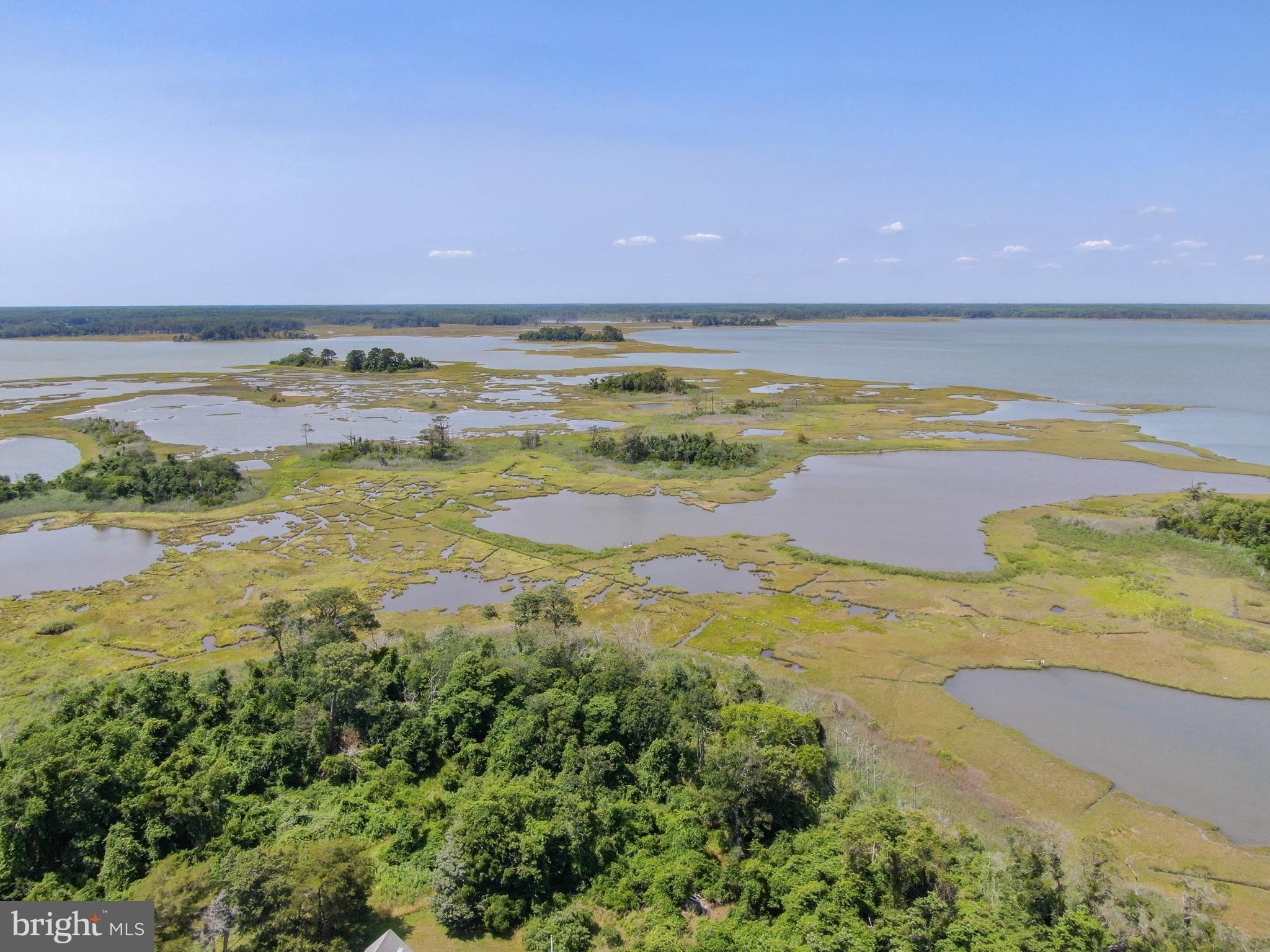 Tizzard Island Taylor Landing Road Girdletree, MD 21829 - Photo 10 of 37