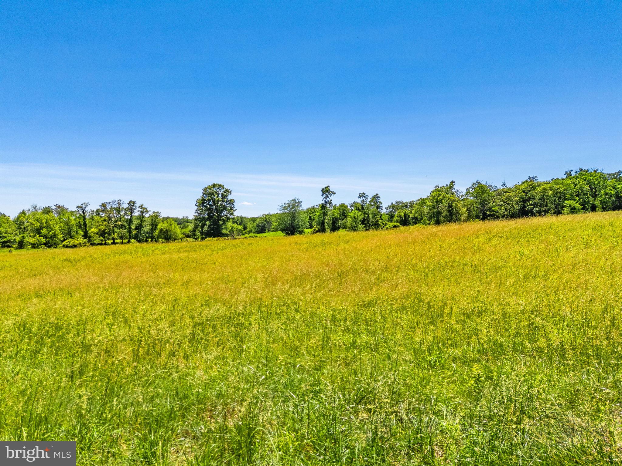 1310 Delaplane Grade Road Upperville, VA 20184 - Photo 56 of 94 View of the open hay pasture