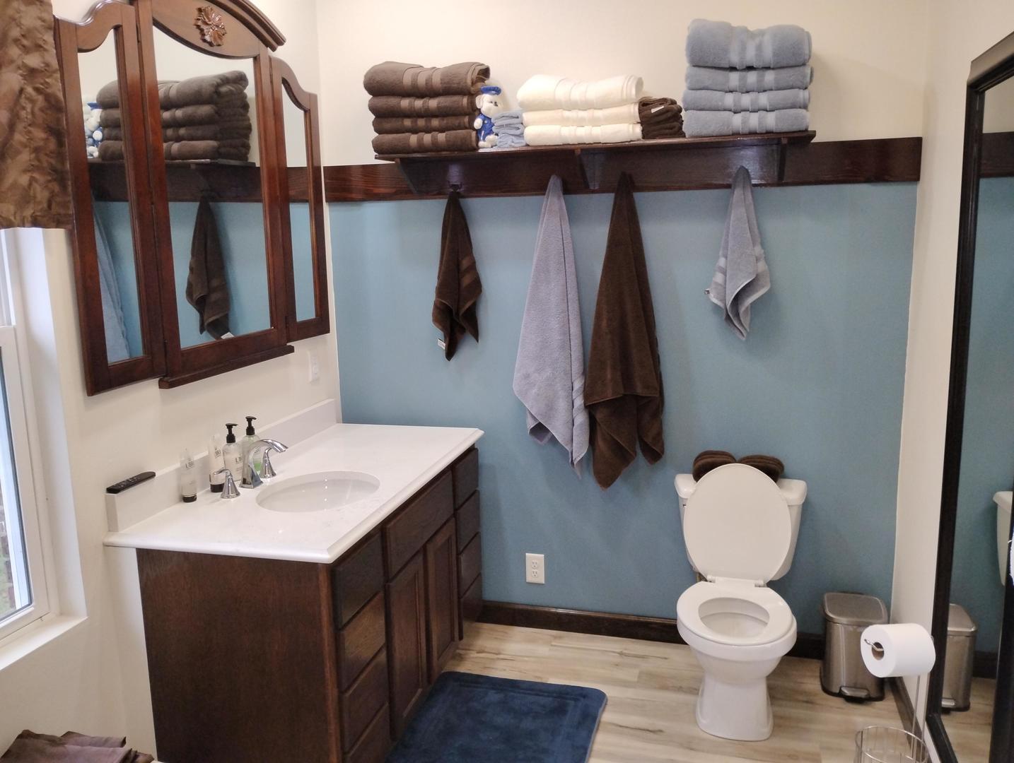 10788 North 1000 E Road Chenoa, IL 61726 - Photo 16 of 31