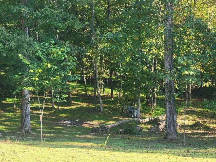 2285 Euchee Chapel Road Spring City, TN 37381 - Photo 5 of 67 e42