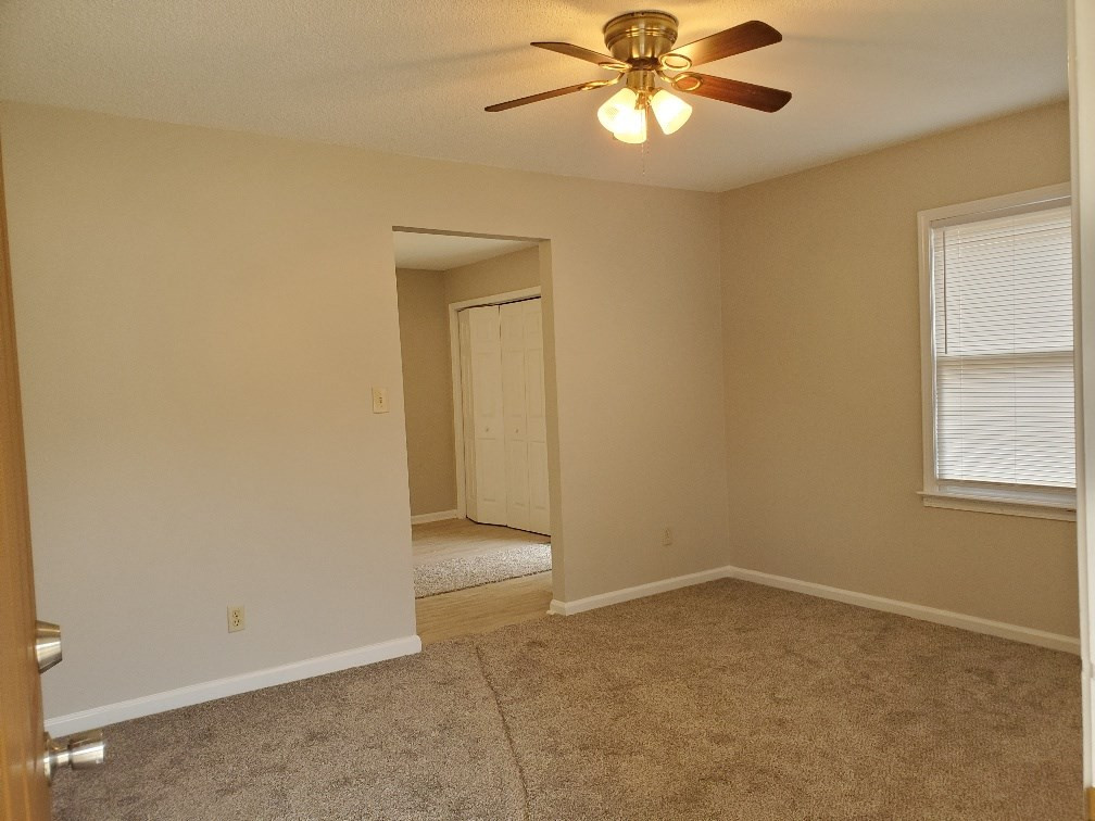 83 Nash Road Bishopville, SC 29010 - Photo 7 of 14 Gallery Image 7