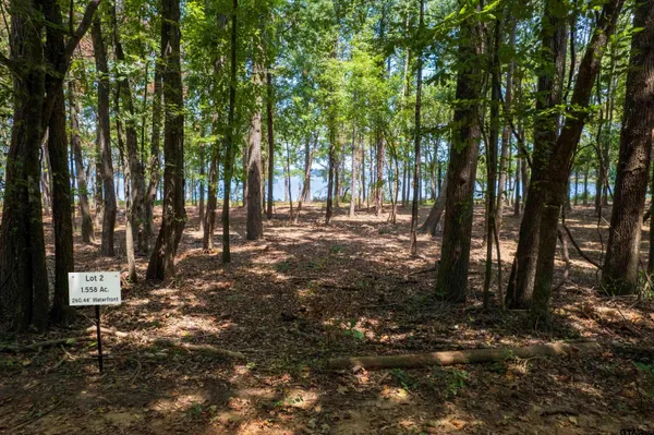 $300,000 | Lot 2 Big Oaks, Leesburg, TX 75451