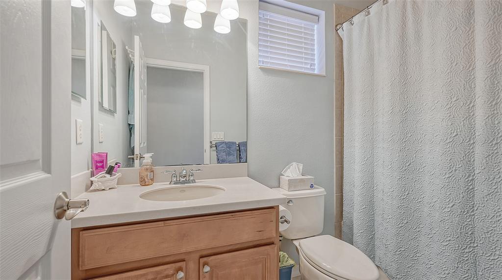 7240 Hamilton Road Bradenton, FL 34209 - Photo 28 of 46 a bathroom with a sink vanity mirror and toilet