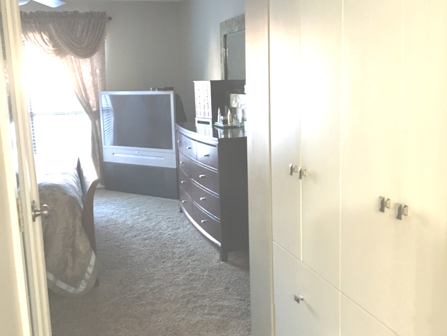 209 Springdale Lane Bloomingdale, IL 60108 - Photo 35 of 68
