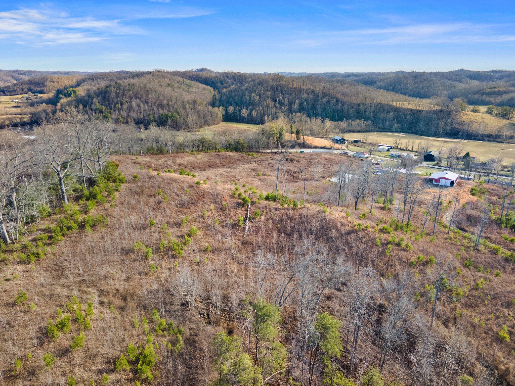 101 Rexville Road Hazel Green, KY 41332 - Photo 21 of 36 14-web-or-mls-DJI_0164