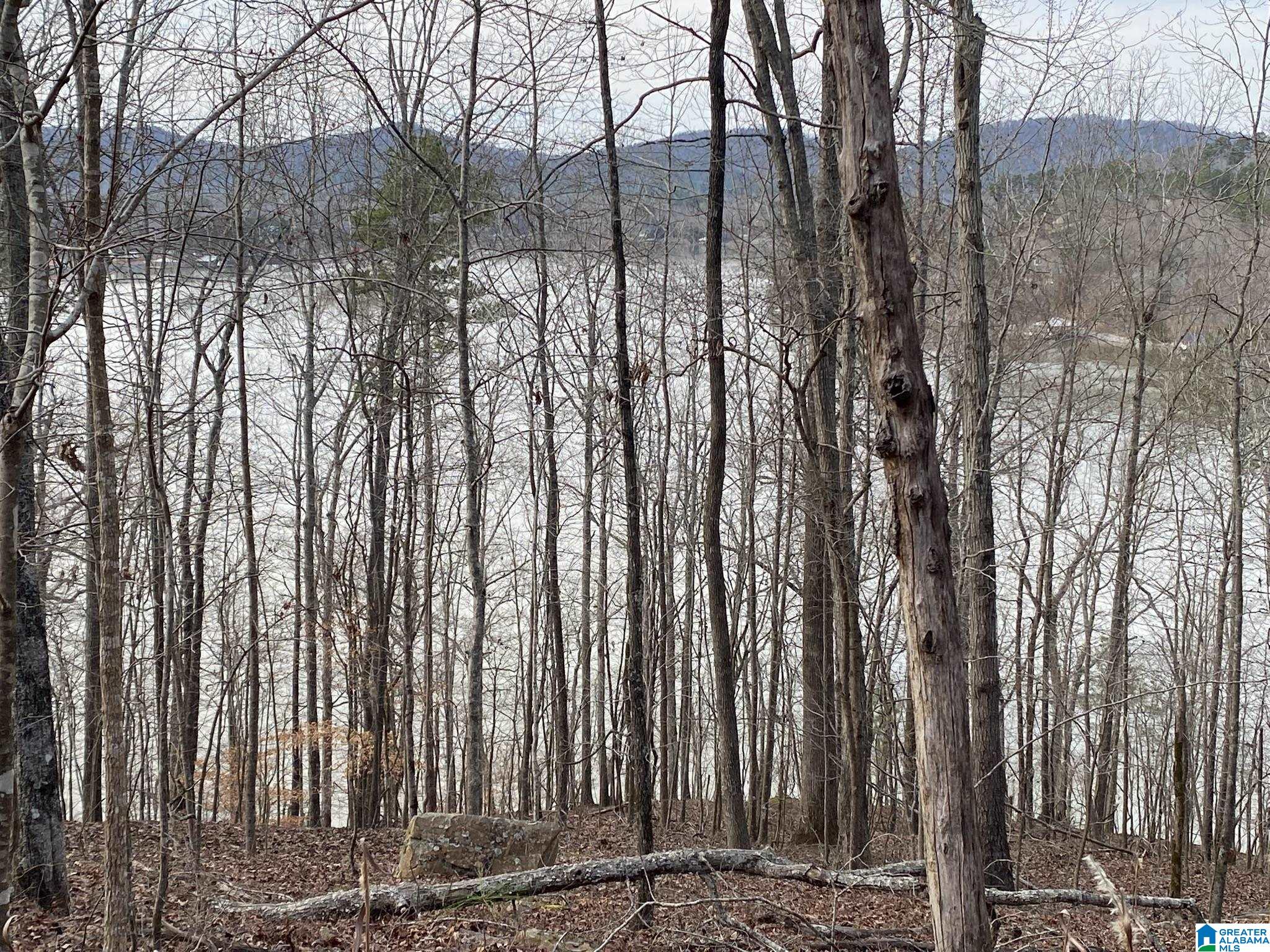 Mohawk Cliff Road, Unit 5 Ohatchee, AL 36271 - Photo 7 of 14