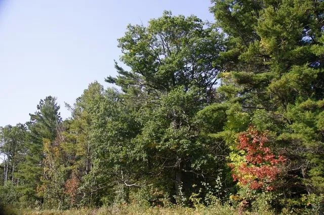 $349,900 | 30-xxx Brevak Road, Washburn, WI 54891