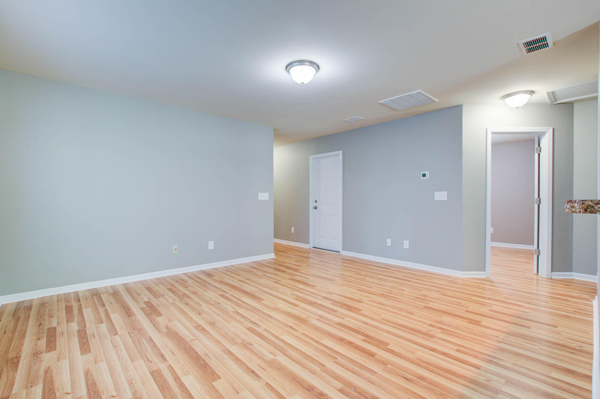 190 Brittondale Road Summerville, SC 29485 - Photo 11 of 20 190 Brittondale (14)