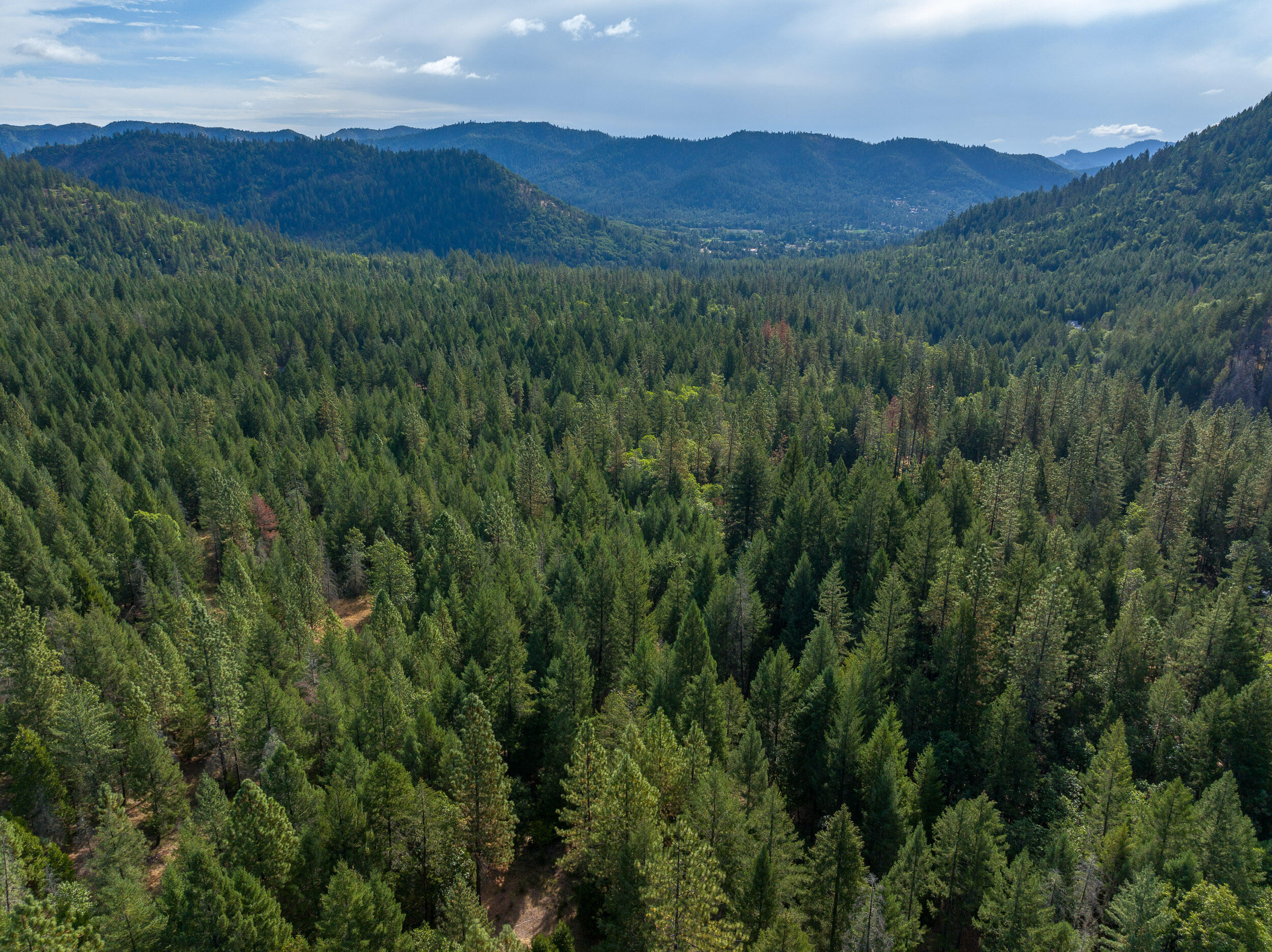 112 Carmel Road Rogue River, OR 97537 - Photo 66 of 73 112CarmelDr-096