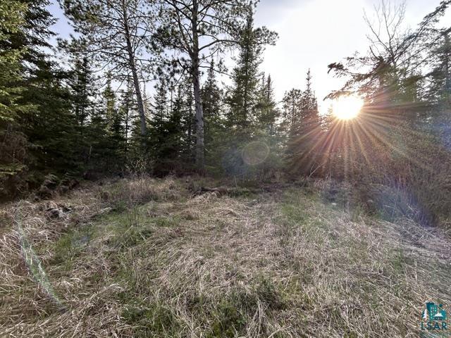 Tbd Tbd Moonlit Island Makinen, MN 55763 - Photo 18 of 23