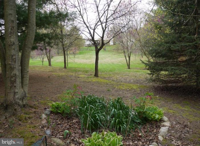 2808 Garrett Road White Hall, MD 21161 - Photo 21 of 29 Garden