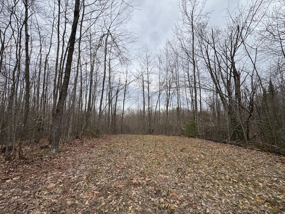 1734 North Galbraith Road Mio, MI 48647 - Photo 65 of 120 IMG_1904