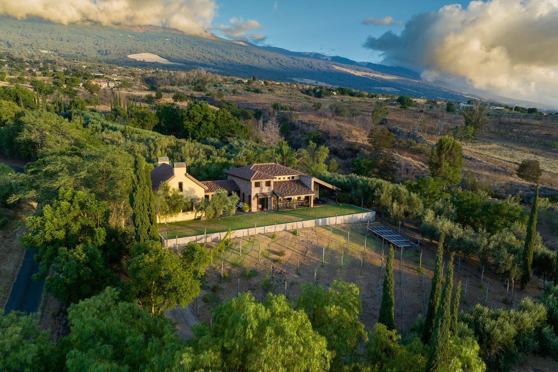 707 Calasa Road Kula, HI 96790 - Photo 44 of 50 an aerial view of a house with a yard