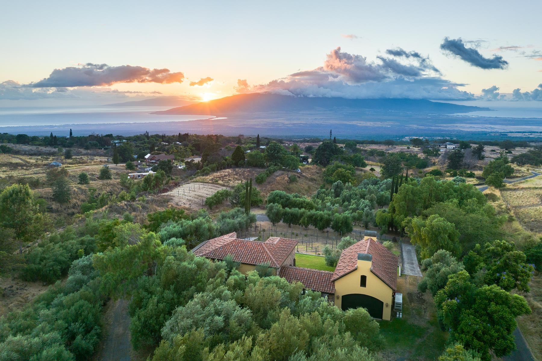 707 Calasa Road Kula, HI 96790 - Photo 47 of 50 an aerial view of a house with a garden