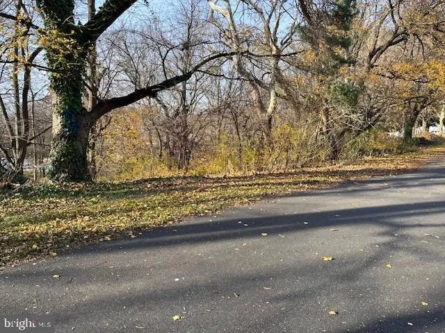 a view of backyard with green space