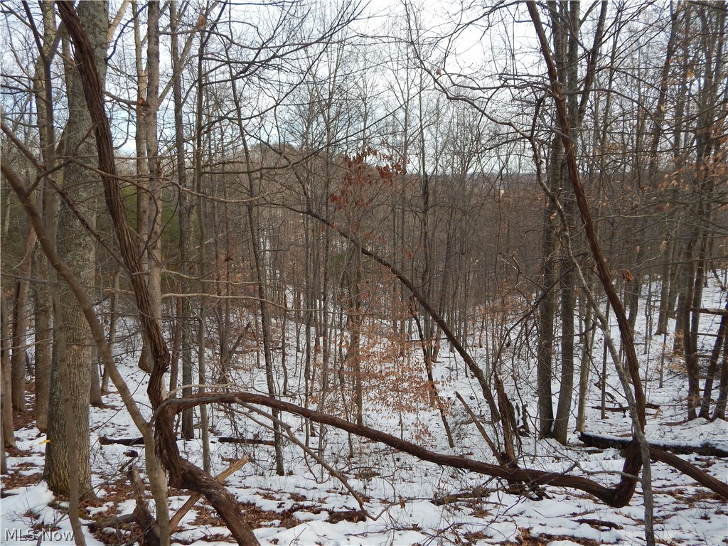 Fingerboard Road Big Springs, WV 26137 - Photo 17 of 21