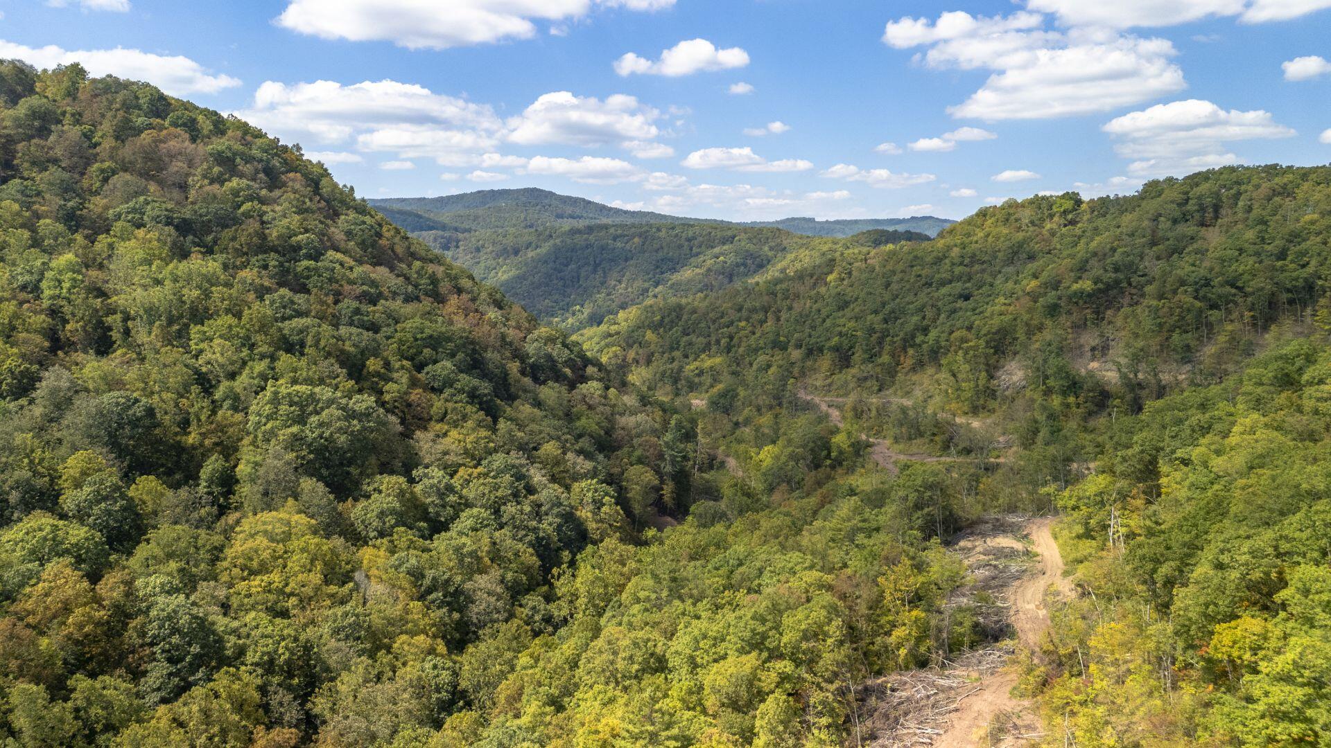 Ellison Ridge Jumping Branch, WV 25969 - Photo 23 of 26 Gallery Image 23
