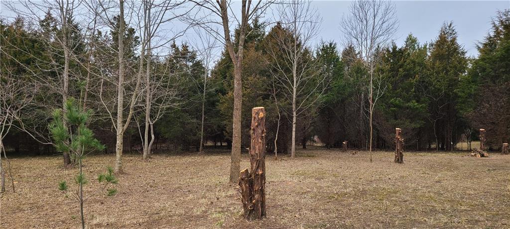 0 Becks Grove Road Freetown, IN 47235 - Photo 8 of 15