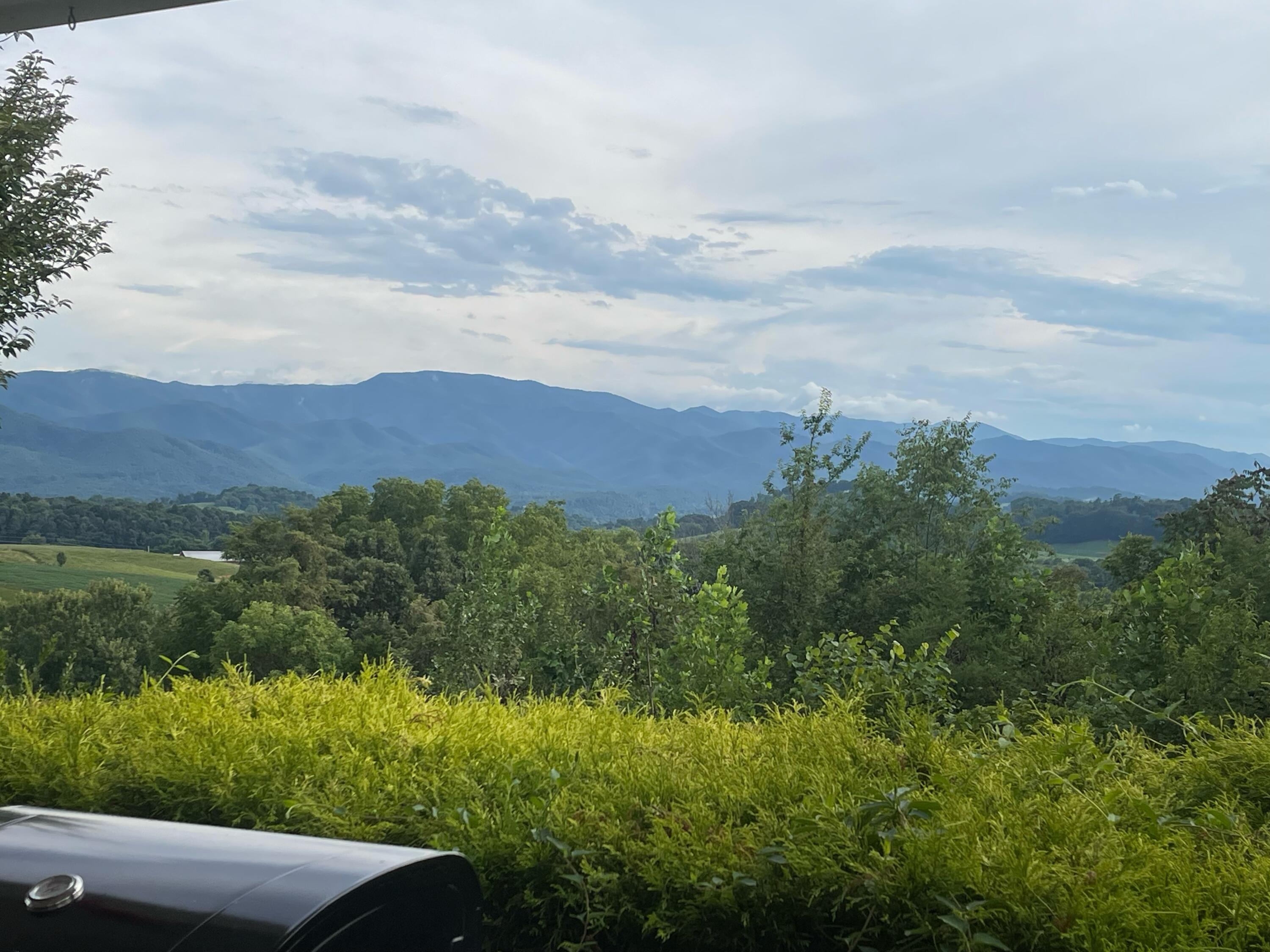 418 Horace Dillow Road Limestone, TN 37681 - Photo 13 of 57 front porch view