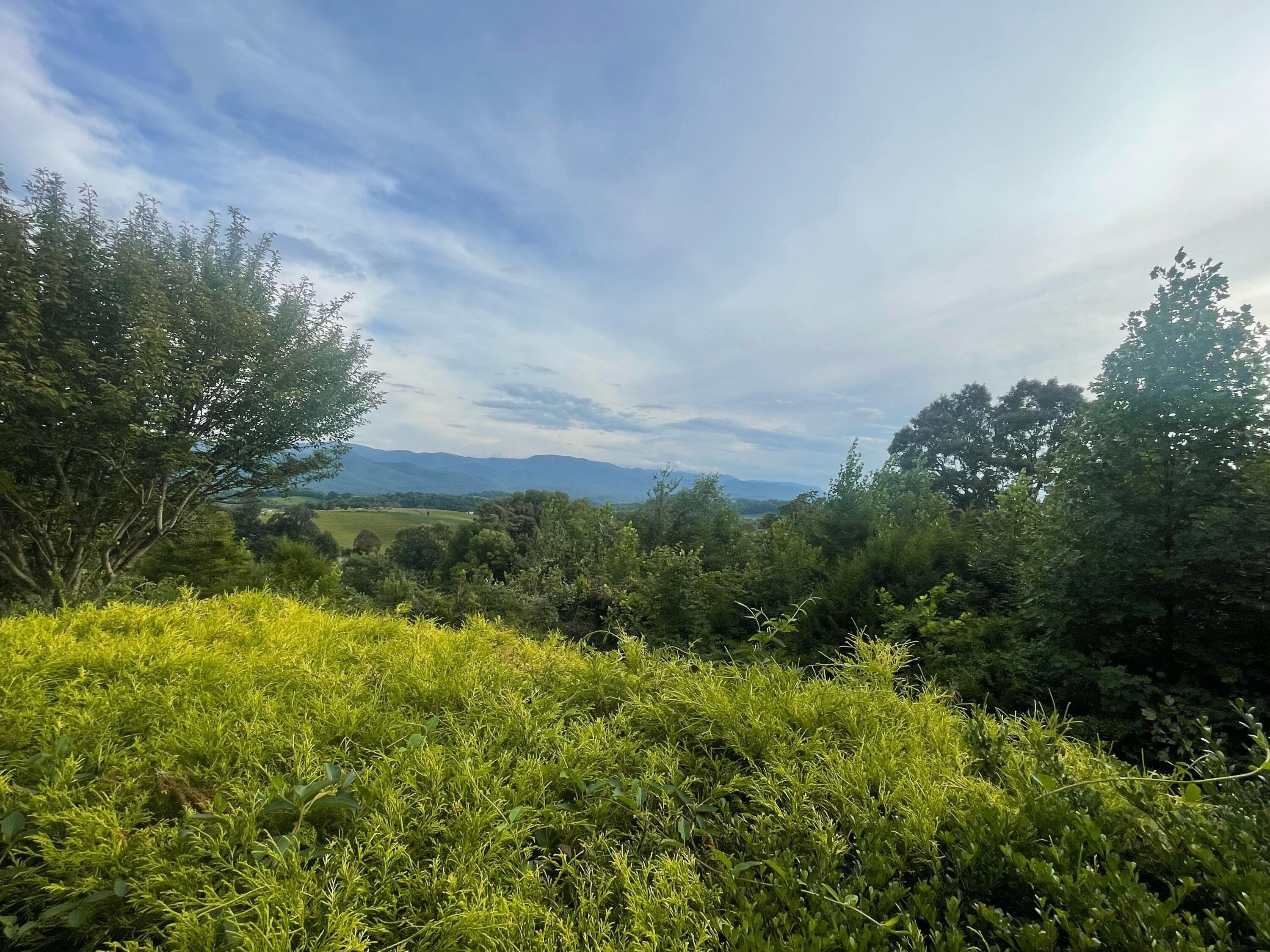 418 Horace Dillow Road Limestone, TN 37681 - Photo 14 of 57 front porch view