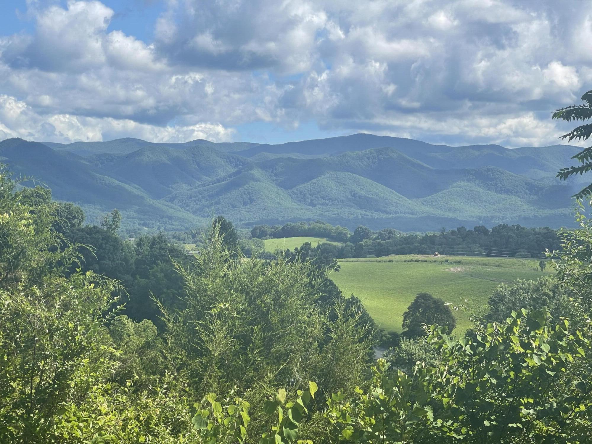 418 Horace Dillow Road Limestone, TN 37681 - Photo 18 of 57 Zoomed mountain view