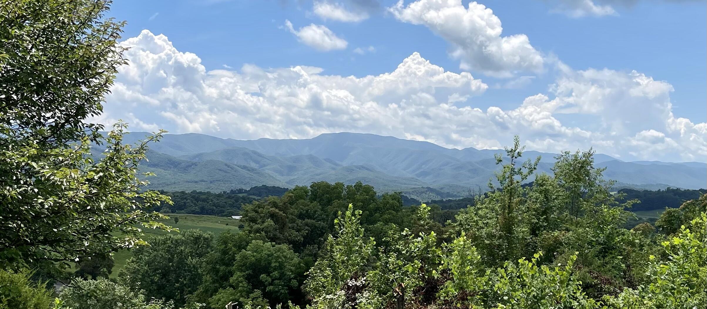 418 Horace Dillow Road Limestone, TN 37681 - Photo 55 of 57 mountain views