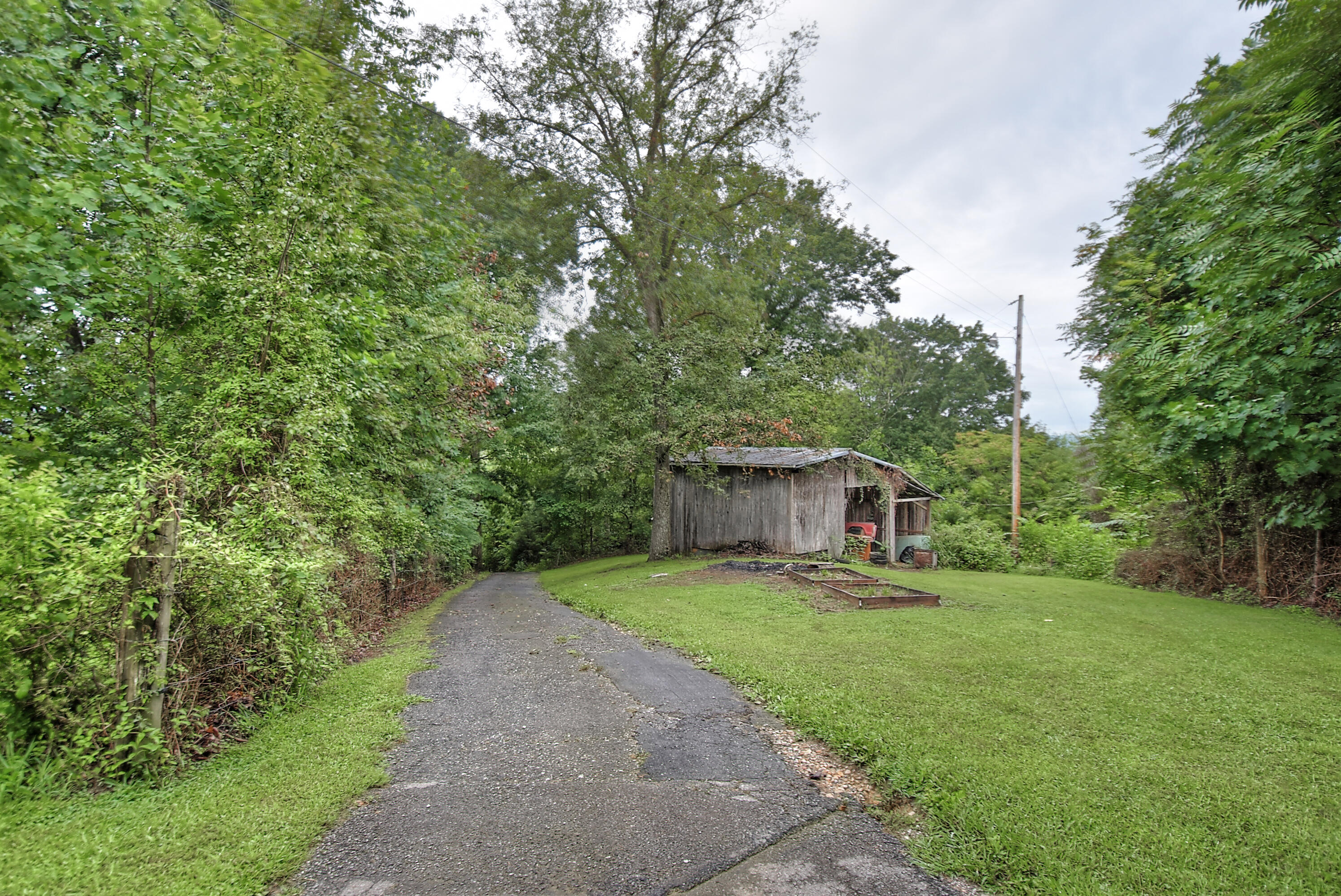 418 Horace Dillow Road Limestone, TN 37681 - Photo 7 of 57 view of driveway down to road