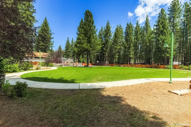 a view of a park with large trees