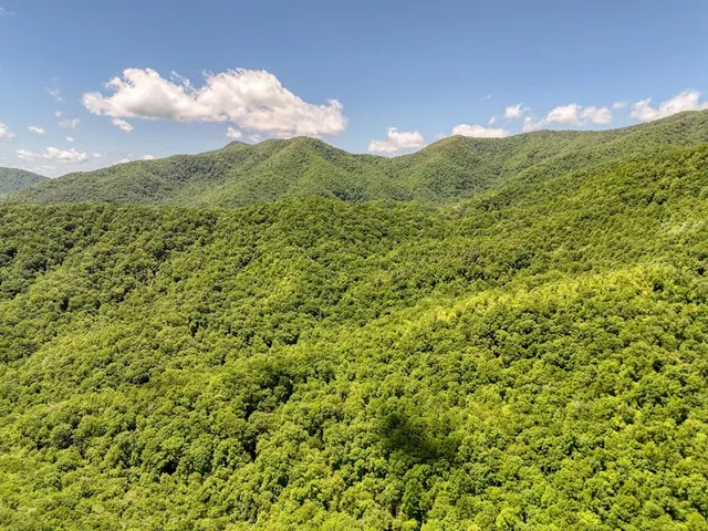 $300,000 | 779 Grindstone Road, Murphy, NC 28906