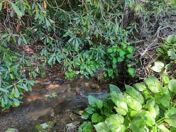 $300,000 | 779 Grindstone Road, Murphy, NC 28906