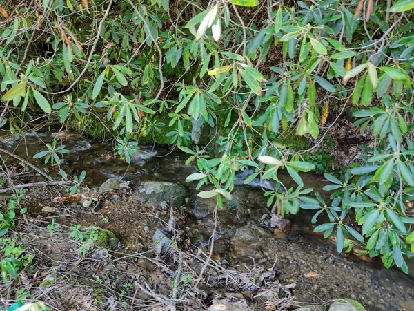 $300,000 | 779 Grindstone Road, Murphy, NC 28906