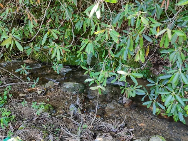 $300,000 | 779 Grindstone Road, Murphy, NC 28906