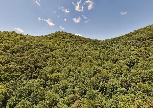 $300,000 | 779 Grindstone Road, Murphy, NC 28906