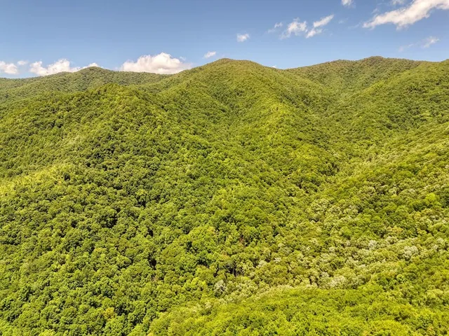 $300,000 | 779 Grindstone Road, Murphy, NC 28906