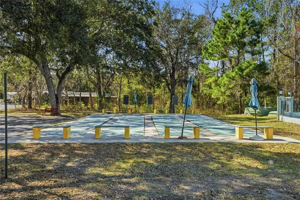 a view of park with large trees