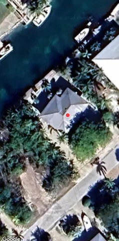 an outdoor space with lots of different kinds of flowers