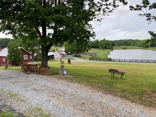 a view of a park with large trees