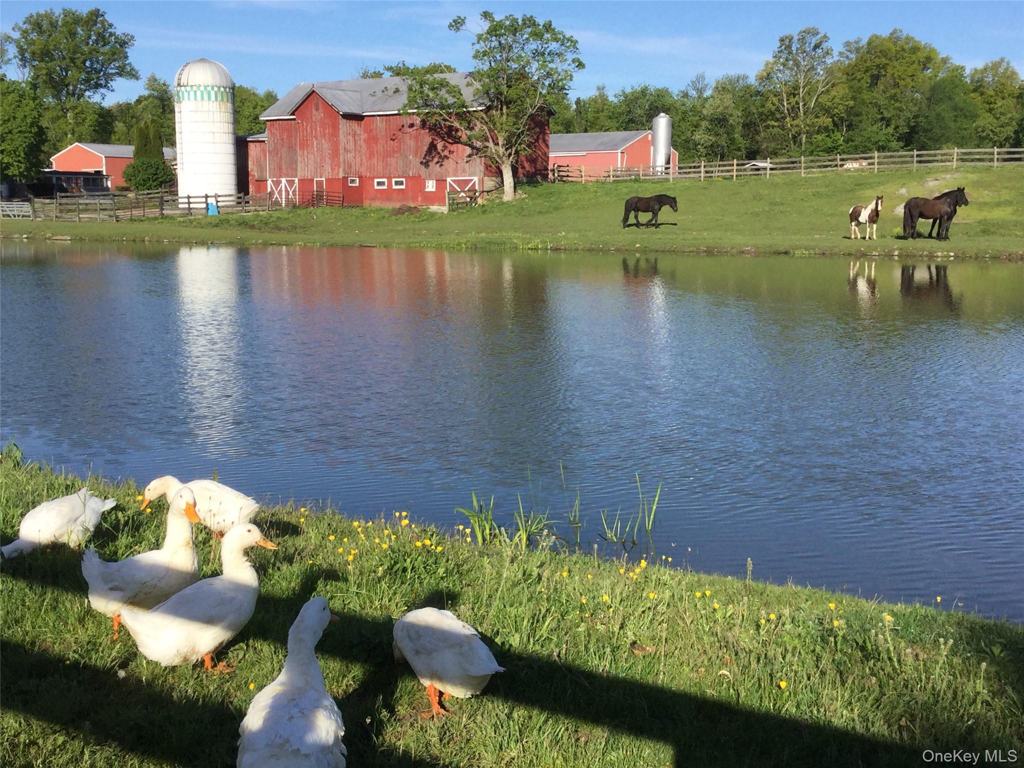 53 Day Road Campbell Hall, NY 10916 - Photo 10 of 31 a view of a lake with a house in the background