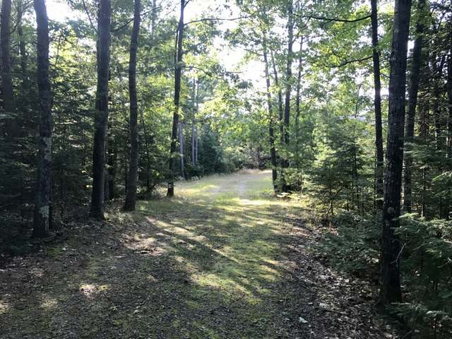 1424 East Bass Lake Road Eagle River, WI 54521 - Photo 2 of 12 Gallery Image 2