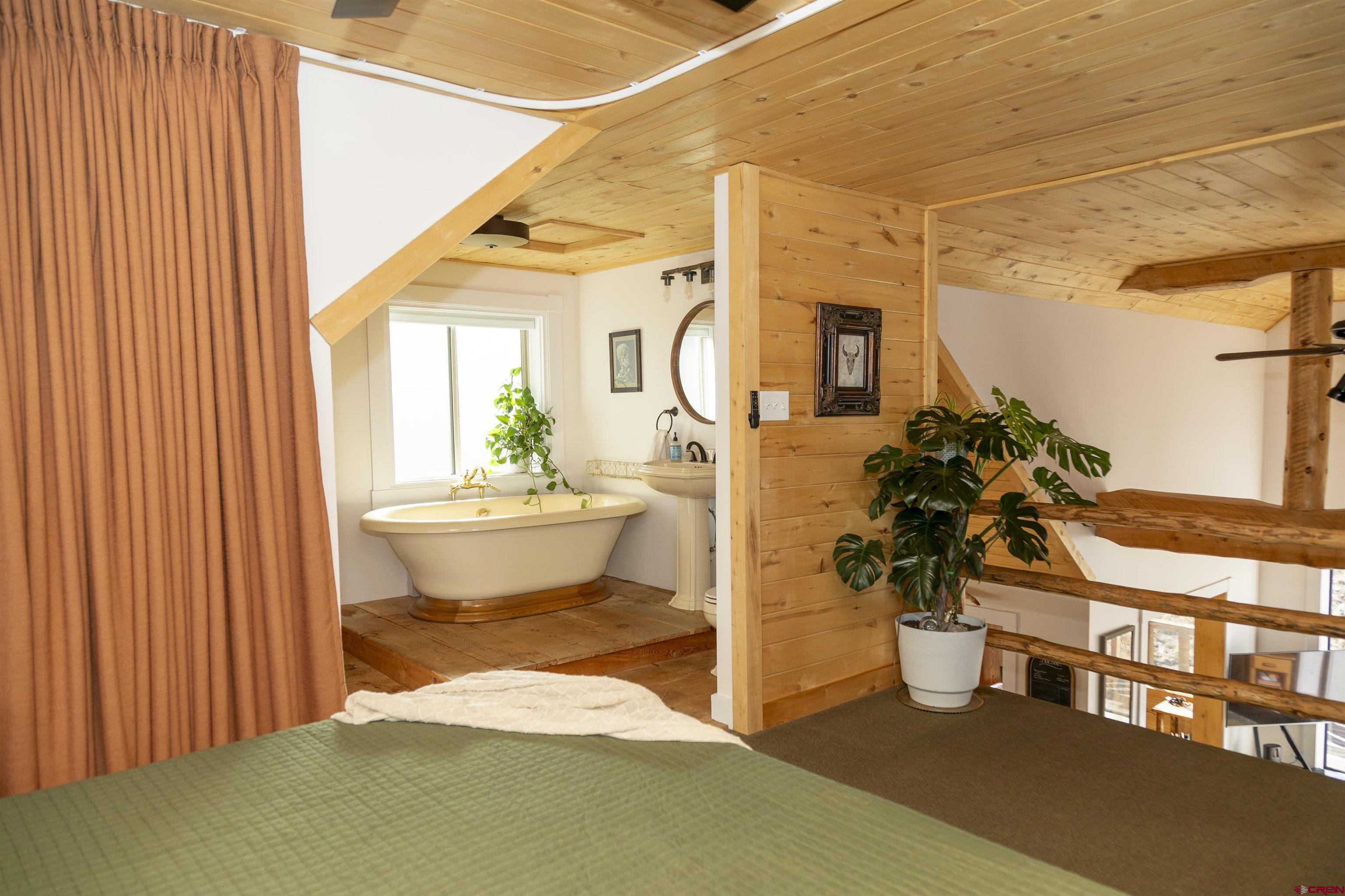 148 Rio Grande Drive Creede, CO 81130 - Photo 23 of 41