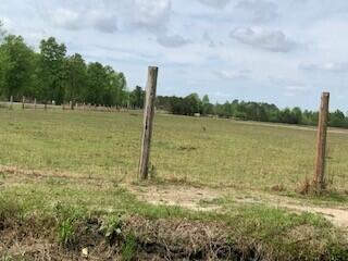 Tbd Moses Dingle Road Summerton, SC 29148 - Photo 2 of 10 MosesDingle1