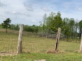 Tbd Moses Dingle Road Summerton, SC 29148 - Photo 3 of 10 Mosesdingle2