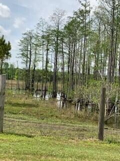 Tbd Moses Dingle Road Summerton, SC 29148 - Photo 4 of 10 MosesDingle3