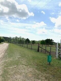 Tbd Moses Dingle Road Summerton, SC 29148 - Photo 5 of 10 MosesDingle4