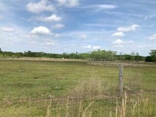 Tbd Moses Dingle Road Summerton, SC 29148 - Photo 10 of 10 MosesDingle9